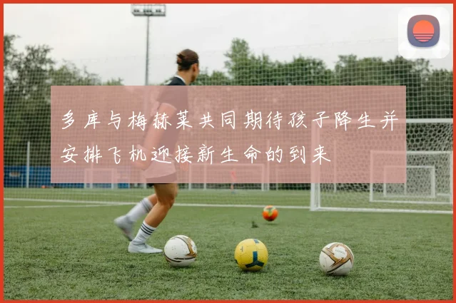 多库与梅赫莱共同期待孩子降生并安排飞机迎接新生命的到来